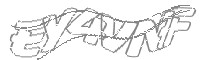Check code