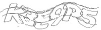 Check code
