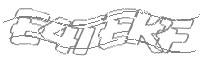 Check code