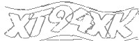 Check code