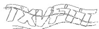 Check code